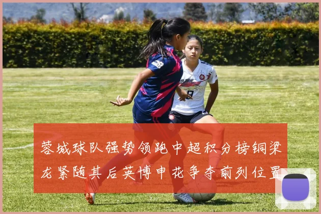 蓉城球队强势领跑中超积分榜铜梁龙紧随其后英博申花争夺前列位置