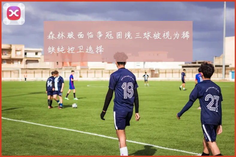 森林狼面临争冠困境三球被视为稀缺纯控卫选择